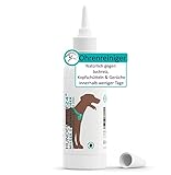 Hundepflege24 Ohrenreiniger Hund 250ml - Beruhigt und Beseitigt Juckreiz, Kopfschütteln & Gerüche innerhalb weniger Tage - Natürliche Ohrentropfen für Hunde & Katzen mit Kamille + Aloe Vera