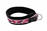 BUDDYPACK | Modernes Hundehalsband | Extra-Breit und Weich Gepolstert | für Kleine, Mittlere und Große Hunde | Größe Verstellbar | Bunt: Rosa-Pink-Lila (XXS (29-34 cm))