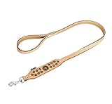 MICHUR Diego Beige Leine, Hundeleine Leder, Flachleine, Lederleine Hund, PASSEND ZUM Halsband Diego Braun Beige Gold, Gr. 150cm x 2,5cm