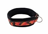 BUDDYPACK | Modernes Hundehalsband | extra-breit und weich gepolstert | für kleine, mittlere und große Hunde | Größe verstellbar | Bunt: Dunkelbraun-Orange-Rot (M (44-49 cm))