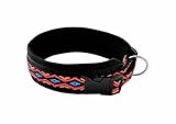 BUDDYPACK | Schickes Hundehalsband Extra-Breit mit Neopren gepolstert | Größe XXS-3XL (4-6 cm breit) | Verstellbar | Bunt: Schwarz-Orange-Rot-Blau (S/M (41-46 cm))