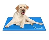 pecute Kühlmatte Hunde Katzen(50 * 65cm), Kuhlmatte für Hund und Katze mit Ungiftiges Gel,Selbstkühlende Kissen, Kühl Hundedecke, Kaltgelpad für Katzen und Hunde, Blau M