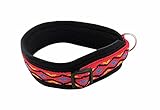 BUDDYPACK | Modernes Hundehalsband | Extra-Breit und Weich Gepolstert | für Kleine, Mittlere und Große Hunde | Größe Verstellbar | Bunt: Rot-Gelb-Blau-Schwarz (XS (32-37 cm))