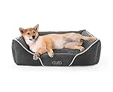 Pecute Hundebett Haustierbett für Katzen und Hunde Rechteck Ultra Weicher Plüsch luxuriöse Haustier-Schlafsack Maschine waschbar M (63*53 cm)