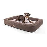 Brunolie Bruno Hundekorb, waschbar, hygienisch und rutschfest, orthopädisches Hundebett mit Kissen und atmungsaktivem Obermaterial, Größe XL (120 x 85 x 17 cm) Beige