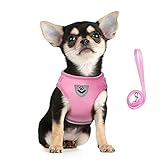 FEimaX Hundegeschirr für Hunde Weich Mesh Atmungsaktiv Katzengeschirr mit Leine Set Reflektierendes Verstellbar Welpen Brustgeschirr für Kleine Hunde Katzen (Rosa, S)