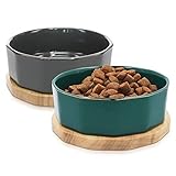 Navaris Fressnapf Futternapf Set aus Keramik - 2X Hundenapf Katzennapf Futterschale mit Unterlage aus Eichenholz - Fressnäpfe für Hunde und Katzen