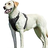 Eagloo Hundegeschirr Geschirr für Große Hunde Anti Zug Mittelgroße Brustgeschirr No Pull Sicherheitsgeschirr Auto Dog Harness Labrador Welpengeschirr Joggen Ausbruchsicher Weich Gepolstert Schwarz L