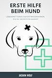 Erste Hilfe beim Hund: Lebensrettende Sofortmaßnahmen, die du ergreifen kannst