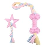 Furpaw Hundespielzeug, Kauspielzeug für Hunde Welpenspielzeug Interaktives Spielzeug Kauen, Hundeseil Hundespielzeug Set für Kleine Mittlere Große (2pcs, Rosa)
