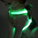 Hundegeschirr, LED-Lade leuchtende Haustiere Weste Medium Dog Large Dog, tragbare und komfortable Outdoor-Training,Grün,Grün,XL