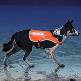 Illumiseen Reflektierende LED Hunde-Warnweste