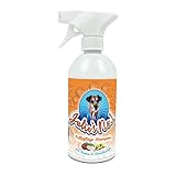 Julies No1 Hundeshampoo gegen Geruch | Hunde und Welpenshampoo für Langhaar und Kurzhaar | Made in Germany | Kokosnuss Vanille Duft | 500ml Flasche | PH-7 | Anwendungsfertiger Schaum FCKW frei
