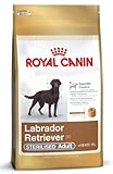 Royal Canin Hundefutter Labrador Retriever Sterilised, 12 kg, 1er Pack (1 x 12 kg)