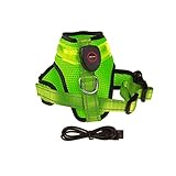 MILAIUN LED Hundegeschirr,USB-wiederaufladbares Hundeweste Leuchtend + reflektierend Design, verstellbar Hund Sicherheitsgeschirr mit gepolstert,leicht, Halsband für Hunde,Welpen (Grün-L)