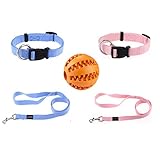 AMATHINGS Welpen Set (Puppy Set) Welpenhalsbänder und Leine in Hellblau und Hellrosa Welpenhalsbänder, Leine & Spiel-Snack Bälle