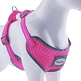 ThinkPet No-Pull Hundegeschirr - Atmungsaktiv Vest Geschirr Mesh Brustgeschirr für Hunde, reflektierend Verstellbare Softgeschirr Sicher Kontrolle, Geringes Eigengewicht, Leichtes Anlegen