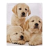 YISUMEI Decke 150x200 cm Kuscheldecken Sanft Flanell Weich Fleecedecke Bettüberwurf Golden Retriever Welpen