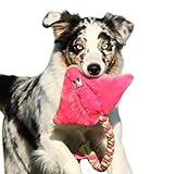 Robustes Hundespielzeug aus Plüsch Quietschend - Interaktives Spielzeug zum Training, Tauziehen und Zerrspiele mit Hund - Kuscheltier für Welpen, Medium und Große Hunde - Handgefertigt in der EU