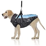 Bella & Balu gefütterte Hunde Winterjacke mit Leine – S blau | Hundekleidung für mittelgroße Hunde gegen Kälte und Wind im Winter – Wasser- und Winddicht, Verstellbarer Gurt