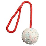 Trixie 3308 Ball am Seil, Naturgummi, ø 7/30 cm
