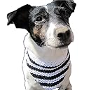 Strickanleitung Hundetuch, Hundehalstuch, zum knoten, knöpfen oder mit Klettverschluss: Ideal für Anfänger