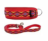 BUDDYPACK | Hundehalsband-Leine-Set | Halsband Extra-Breit Neopren Gepolstert | Größe XXS-XXXL | Leine mit Handschlaufe 1,50 m | (Rot-Gelb-Blau-Schwarz, S/M (41-46 cm))