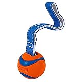 Chuckit! CH231201 Ultra Tug Medium