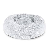 lionto Hundebett rund Hundekissen Hundesofa Katzenbett Donut (XXL) 80 cm Ø Hellgrau