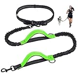 Joggingleine Hunde, Unipampa Freihändige Hundeleine, Handfreie Hundeleine, Jogging Hundeleine, mit Bauchgurt, Reflektierenden Nähten, 120-170 cm, Doppelgriff, für Kleine Hunde, mittelgroße Hunde…