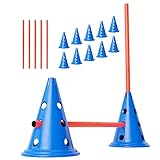 ANISKILLS® - Agility Set - 10 Blaue Kegel 30,5cm hoch, 5 orangene Stangen 80cm lang - Flexibles Koordinationstraining - Hunde Parcour und Hürden Set - Agility Set