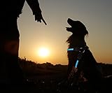 PRECORN LED Hundegeschirr Leuchtgeschirr Brustgeschirr Sicherheitsgeschirr Geschirr blau Gr. S