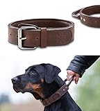 Premium Leder Hunde Halsband Jack mit Haltegriff - Leder Hundehalsband mit Ledergriff - Echtleder sehr robust - Jack (L)