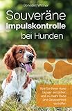Souveräne Impulskontrolle bei Hunden: Wie Sie Ihren Hund besser verstehen und zu mehr Ruhe und Gelassenheit verhelfen