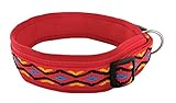BUDDYPACK | Hundehalsband Extra-Breit und Weich Gepolstert | Für Kleine, Mittlere und Große Hunde | Bunt (Rot-Gelb-Blau-Schwarz, XS/S (35-40 cm))