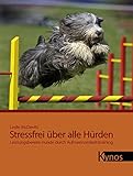 Stressfrei über alle Hürden: Leistungsbereite Hunde durch Aufmerksamkeitstraining