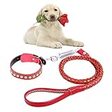 Qiuge Haustier-Leine Hundehalsband Hund Zugseil PU-Leder Verschleißfest Kuhfell Zugkraftgurt Hundehalsband Teleskophundeseil Geeignet for mittlere und große Hunde Golden Retriever ( Color : Brown )