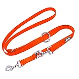 DDOXX Hundeleine Nylon, 3fach verstellbar, 2m | für kleine & große Hunde | Doppel-Leine Zwei Hund Katze Welpe | Schlepp-Leine groß | Führ-Leine klein | Lauf-Leine Welpen-Leine | XS, Orange