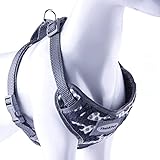 ThinkPet No-Pull Hundegeschirr - Atmungsaktiv Vest Geschirr Mesh Brustgeschirr für Hunde, reflektierend Verstellbare Softgeschirr Sicher Kontrolle, Geringes Eigengewicht, Leichtes Anlegen
