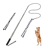 POPETPOP Interaktive Hundespielzeug Hunde Draussen Angel Kauspielzeug mit 2 Seil Hundeangel Pole Haustier Teaser für Training Übung (Größe L)