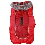 JoyDaog Hundemäntel mit Fleecehalsband für kleine Hunde, wasserdichte, warme Baumwolljacke für kalte Winter, Rot S