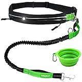 Leisegrün® Joggingleine für Hunde bis 20 kg | Hundeleine zum Joggen mit Bauchgurt und Ruckdämpfer | Für kleine Hunde | Länge 120 cm bis 170 cm | schwarz 