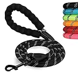 District North Reflektierende Hundeleine - 150 cm Lange Trainingsleine für Hunde - Bequem gepolsterte Führleine Dog Leash - Klasse Hundeleinen für große Hunde (150cm, Schwarz)