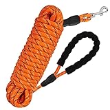 AVNICUD Hundeleine mit Silberner Schnalle und Griffpolsterung, Hundeleine, Leine für Hunde, 5m, 10m, 15m Lange Trainingsleine für Große Welpen, Orange (5M)