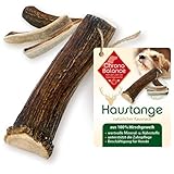 ChronoBalance® Geweih-Kaustange M (halbiert) für Hunde - 100% Hirschgeweih - Kauspielzeug, Zahnpflege, Kausnack, Geweih, Kauknochen, Kaugeweih