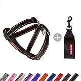 EzyDog Hundegeschirr Auto mit Sicherheitsgurt, Brustgeschirr Hund, Sicherheitsgeschirr Hund, 'Chest Plate' Geschirr für Kleine, Mittelgroße und Große Hunde, Reflektierend, Gepolstert (XS, Schwarz)