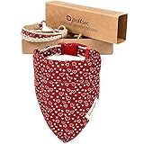 Pettsie Hundehalsband mit Bandana Tuch und Freundschaftsarmband, einstellbare Größen S und M, haustierfreundlicher Hanf, tolles Geschenk für Hundeliebhaber in Geschenkbox (S, Rot)