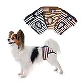 PETLESO Hundewindeln Hunde Schutzhöschen 3 Stück Waschbare Läufigkeitshose für Hündinnen-S