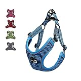 Suredoo Hundegeschirr für Große Mittlere Kleine Hunde Welpen Haustiere, Anti Zug Geschirr No Pull Sicherheitsgeschirr Reflektierend Atmungsaktiv Brustgeschirr Dog Harness Weich Einstellbar (XS, Blau)
