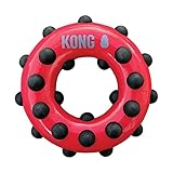 KONG – Dotz Circle – Hundespielzeug zum Kauen und zur Zahnreinigung – Für Große Hunde